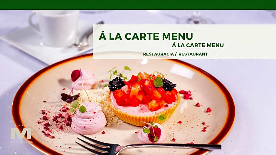 Hotel Metropol WELLNESS & CONGRESS HOTEL