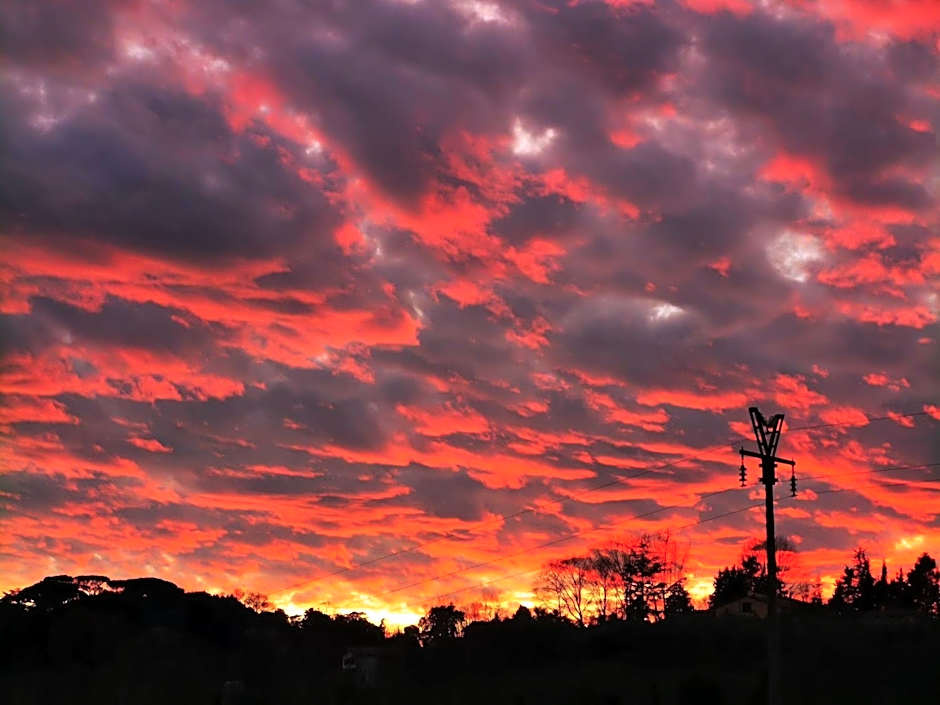 Masseria Le Querciole