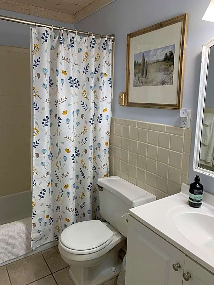 Shanty Creek, Condo, Golf ,Sleeps 4, Pets welcome!