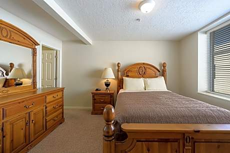 Deluxe One-Bedroom Apartment
