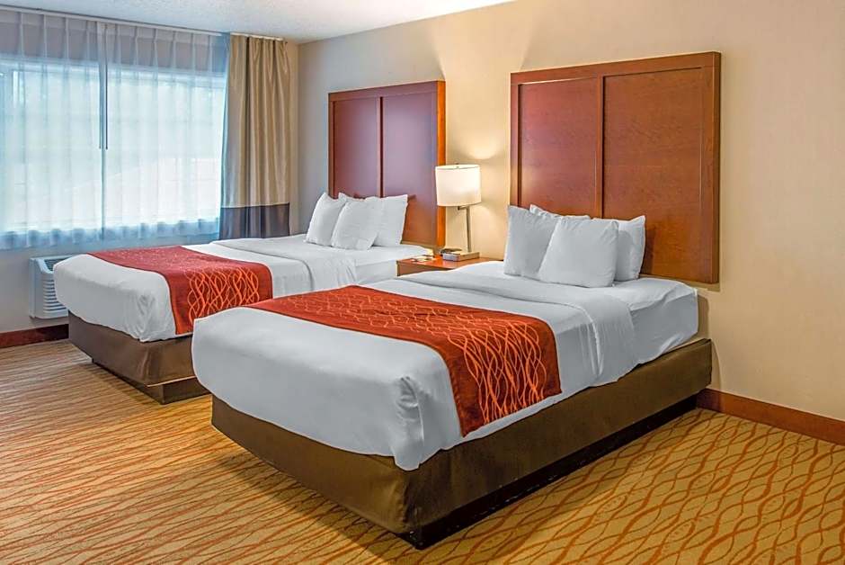 Comfort Inn Mount Shasta Area