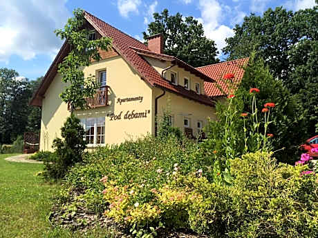 ApartamentyKudowa - Willa Pod Dębami z ogrodem i parkingiem,