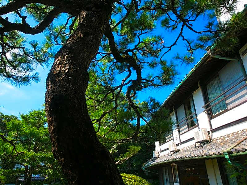 Karatsu Hot Spring Ryokan Wataya