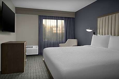 1 Bedroom Deluxe Suite, 1 King