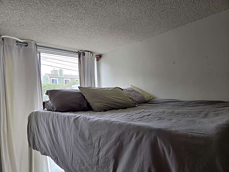 Ocean Front Vortex Female Hostel private rooms Free bikes