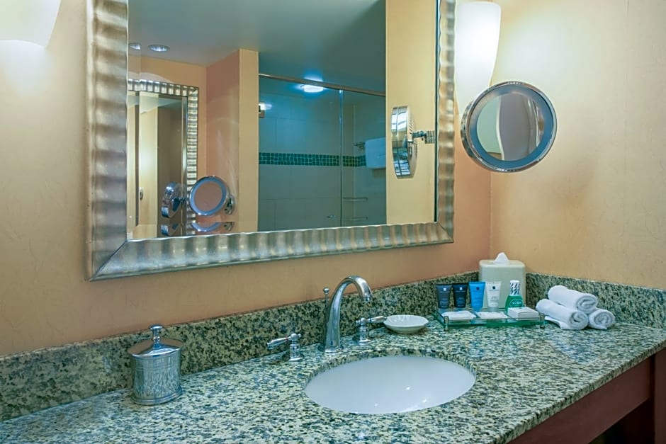 Crowne Plaza Dulles Airport By IHG