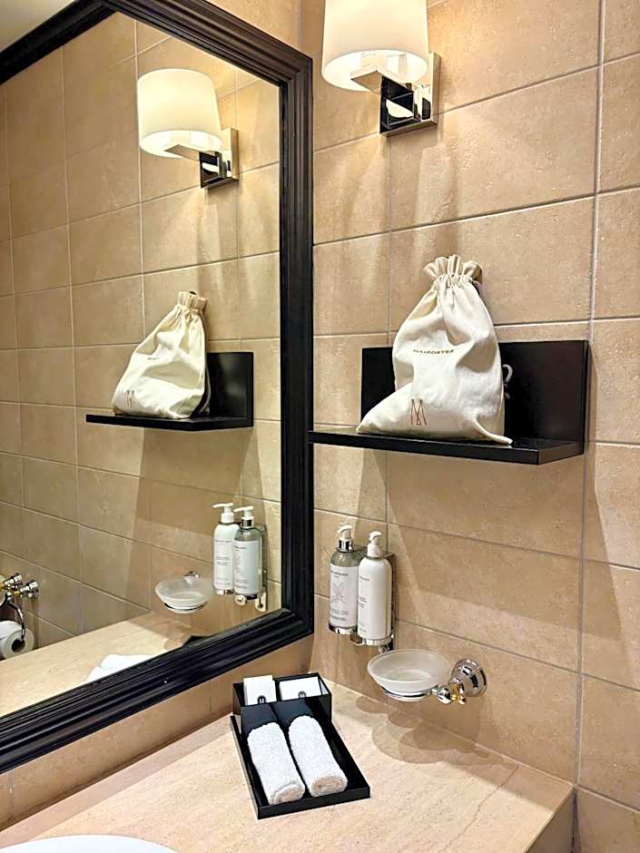 Hotel Rotary Geneva-MGallery