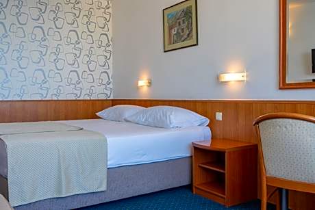 Standard Double or Twin Room with Balcony