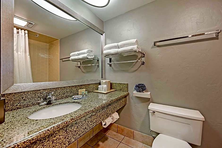 Best Western Ptarmigan Lodge