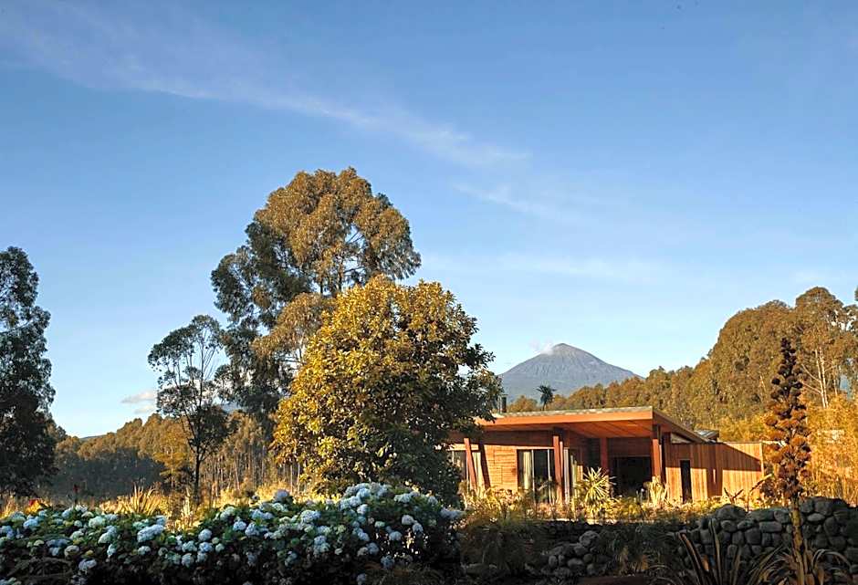 One&Only Gorilla's Nest