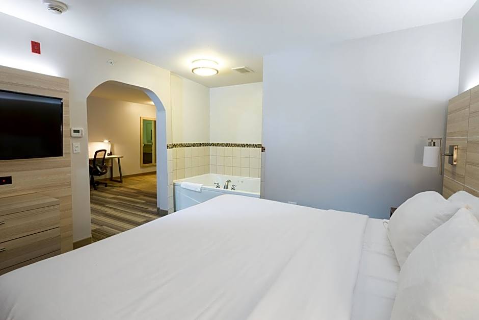 Holiday Inn Express Hotel & Suites Detroit-Utica By IHG