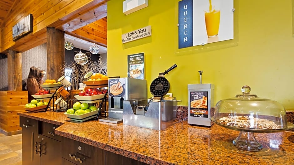 Best Western Plus Holland Inn & Suites