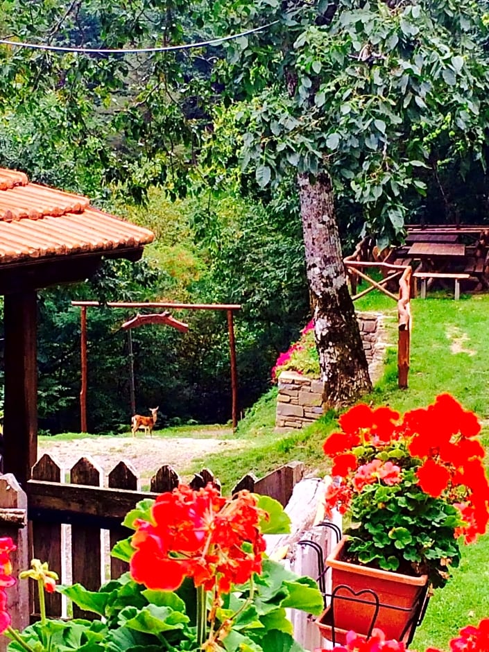 B&B La Presa