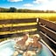 Black Bull Retreat, Barmston with Private Hot Tubs
