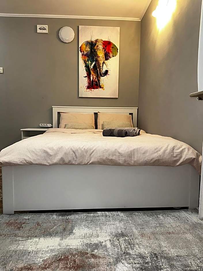 One Room Apartment Decebal