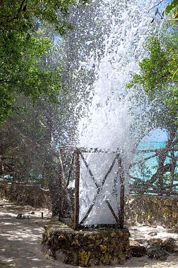 The Island - Pongwe Lodge