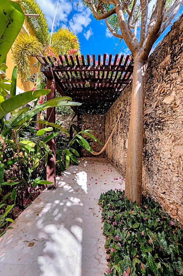 Hacienda San Antonio Millet