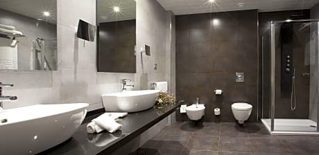 Executive Double or Twin Room (1 Double Bed)