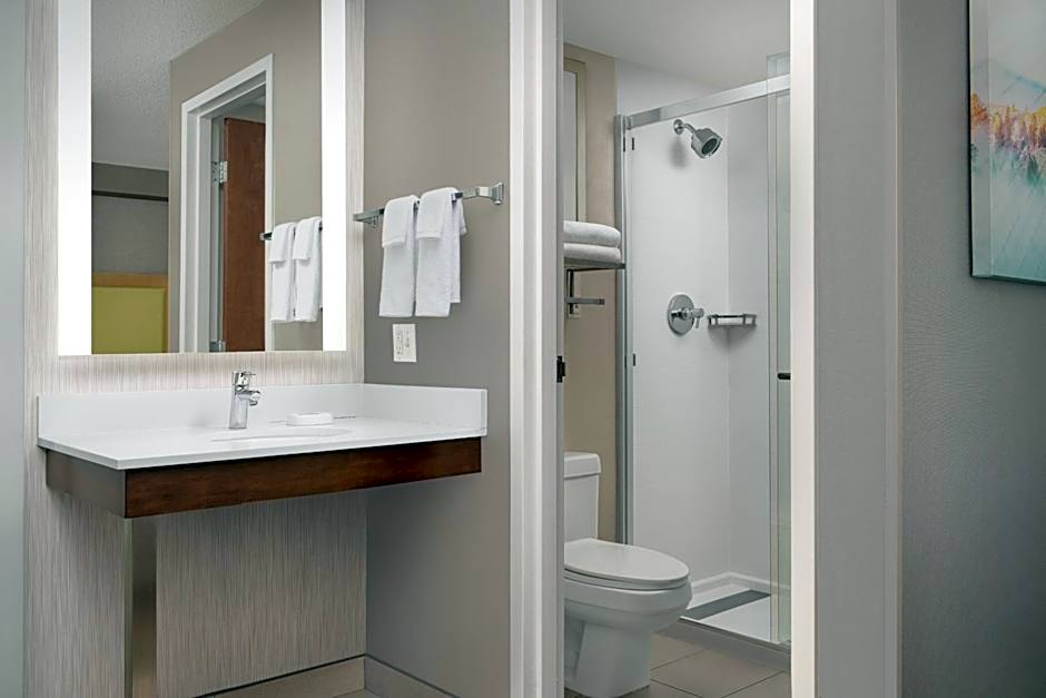 SpringHill Suites by Marriott Boise ParkCenter