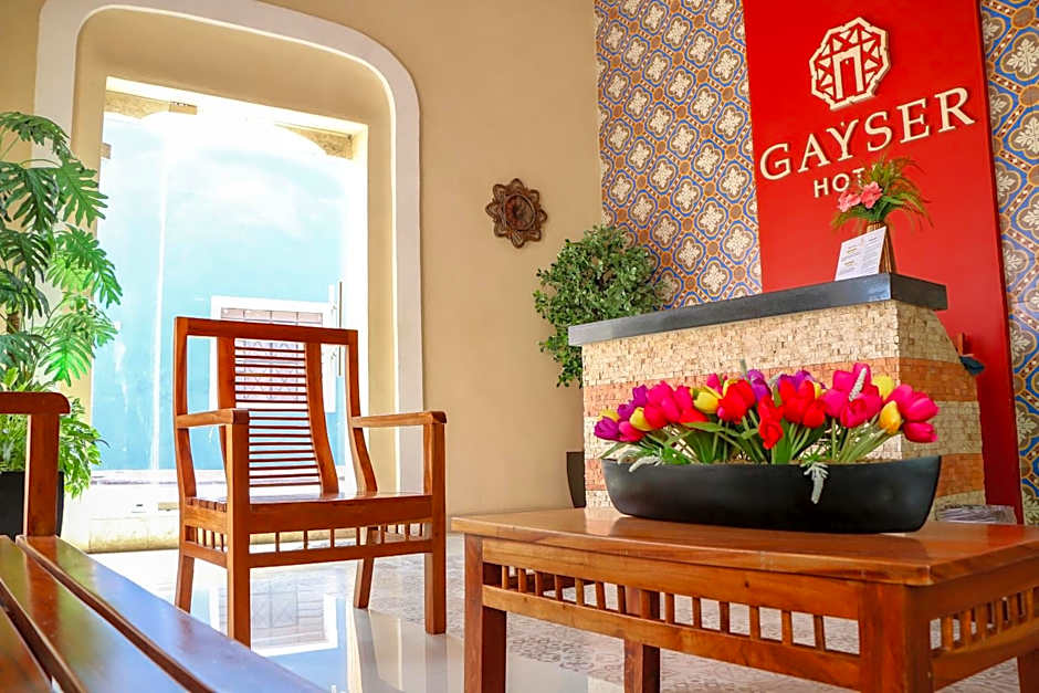 Hotel Gayser