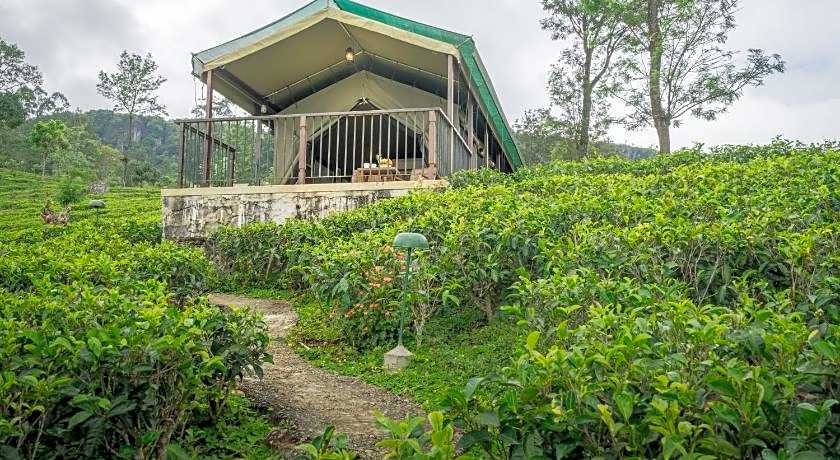 Madulkelle Tea and Eco Lodge