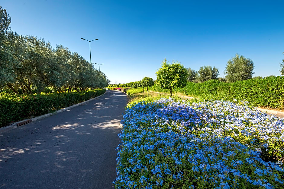 Oliva Hotel Condominium Marrakech