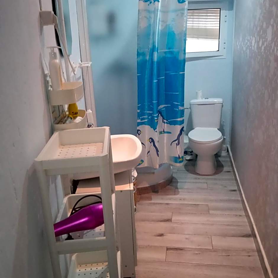 Alojamiento Magallanes