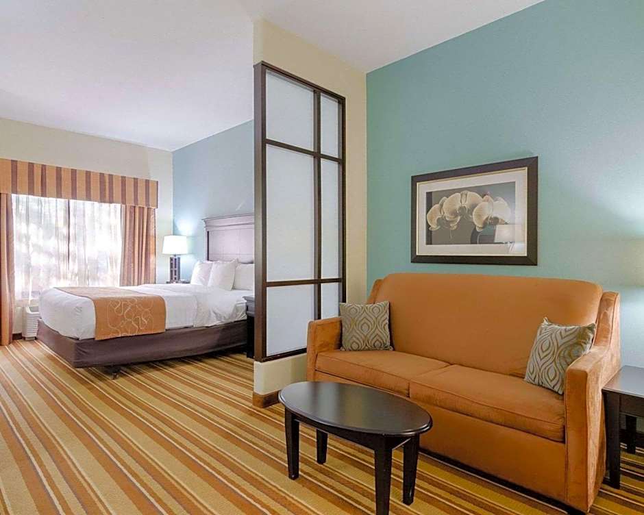 Comfort Suites Topeka Northwest