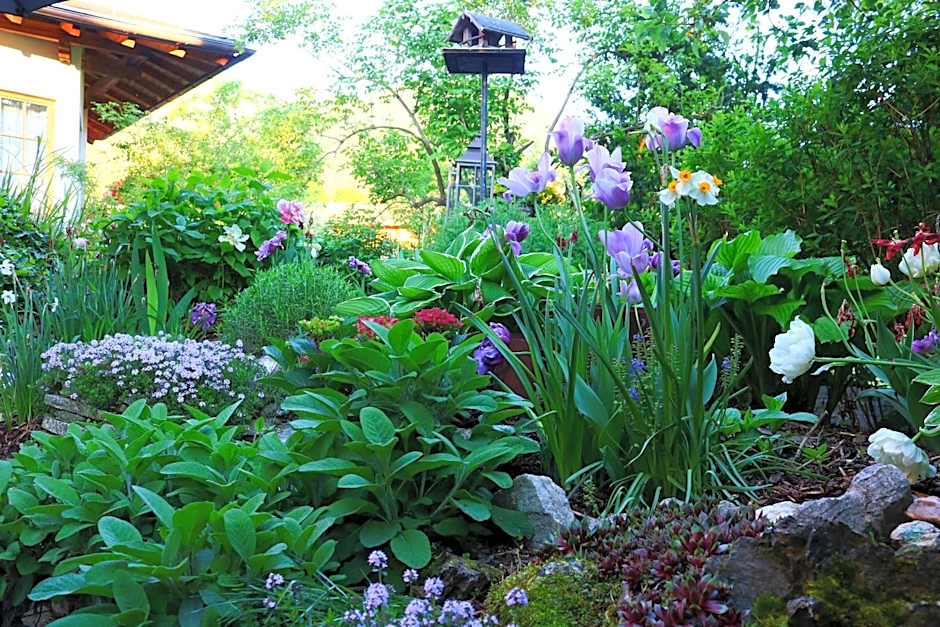 Kia Ora Hotel Restaurant