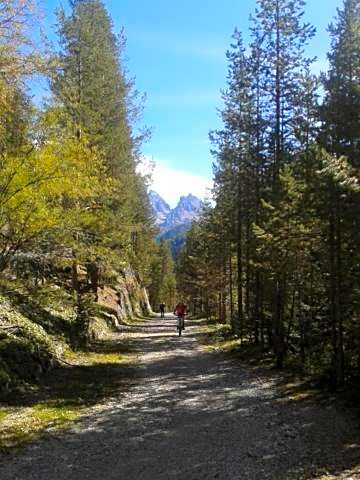 Appartments Helvetia