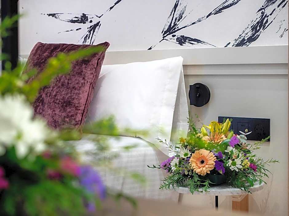 Arcelon Hotel! New Opening! Nueva apertura 2023!