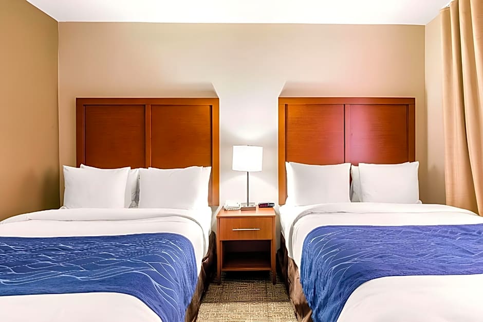 Comfort Inn & Suites IAH Bush Airport - East