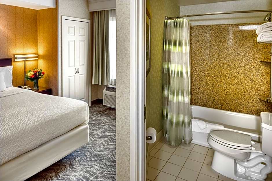 SpringHill Suites by Marriott Salt Lake City Downtown