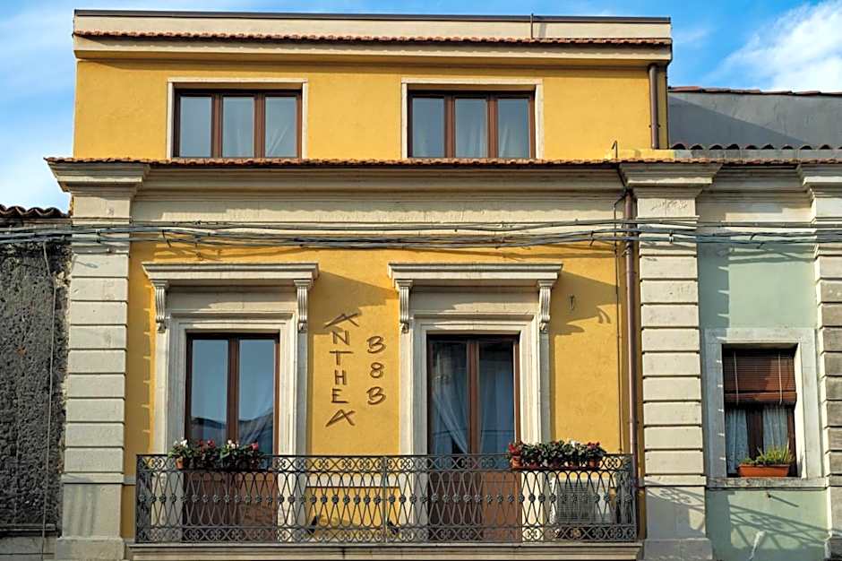 B&B Anthea