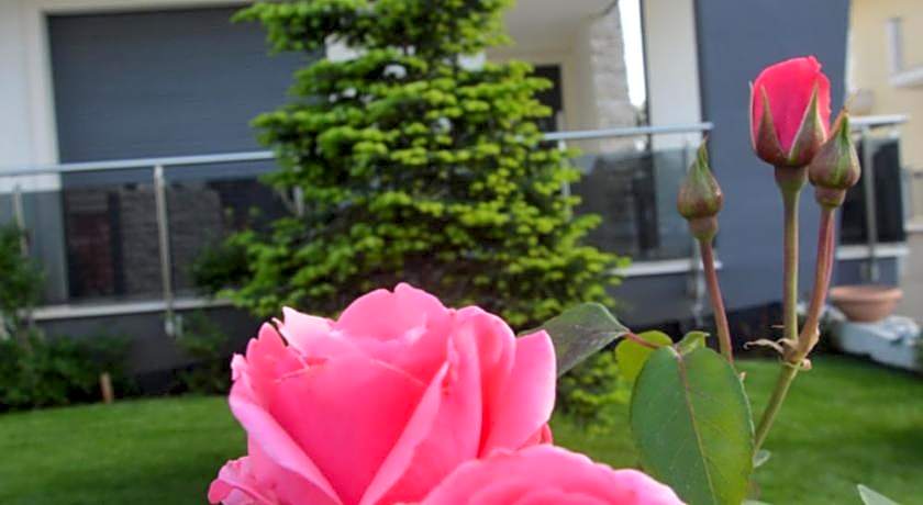 B&B La Rosa dei Venti