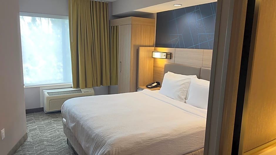SpringHill Suites by Marriott Lansing