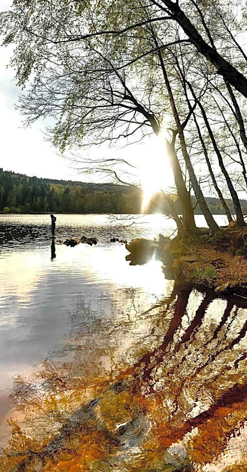 Wellness & Spa Apartments Lipno - Frymburk