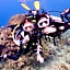 PamAnilao and Padoy's Dive Camp