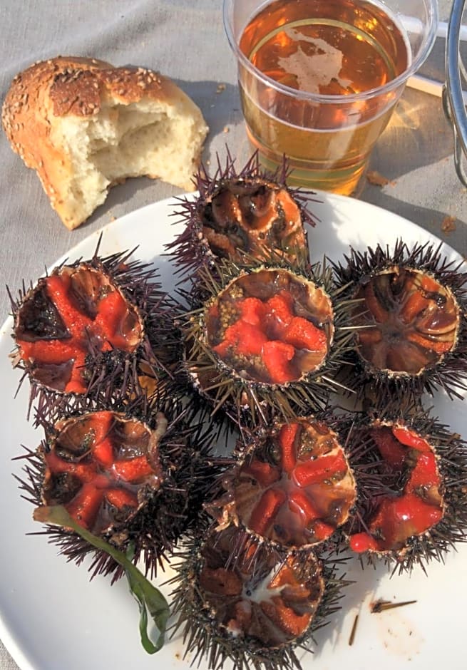 B&B TIFFANY SFERRACAVALLO