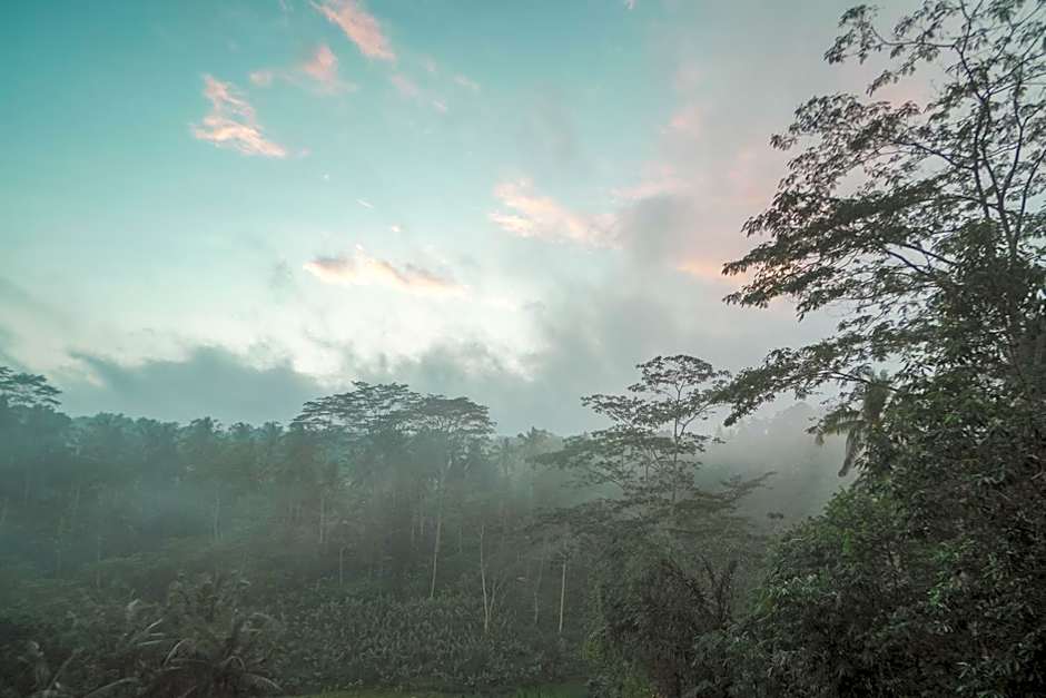 Woywoy Escape Bresela Adults Only