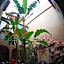 Riad Dar Mchicha