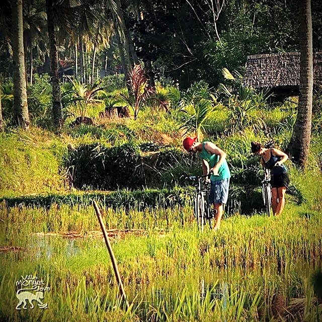 BK Homestay, Batukaras