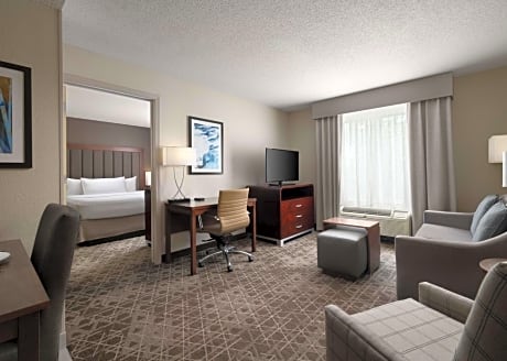One-Bedroom King Suite - Non-Smoking