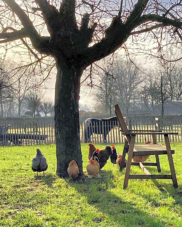 Het Spijkerhuys