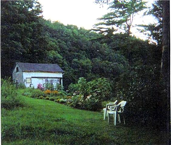 A Meadow House