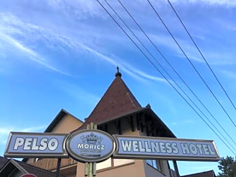 Pelso Wellness Hotel