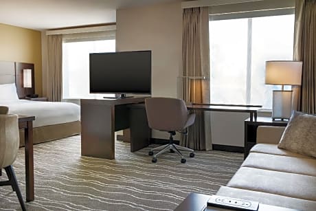 Studio Suite, 1 King, Sofa bed