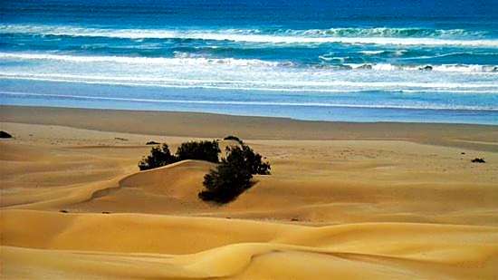 Hotel EL MARSA LA PLAYA