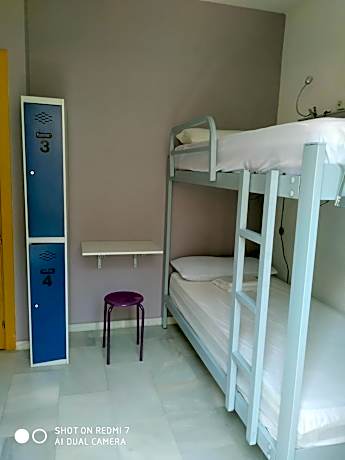 Bunk Bed in 4-Bed Dormitory Room