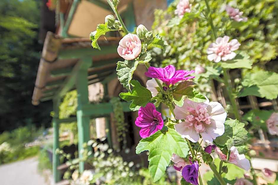 Naturidyll Hotel Hammerschmiede